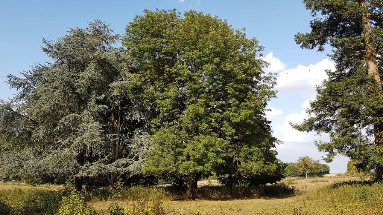 Au Clos Du Coteau, Chambres D'Hotes Crotelles Εξωτερικό φωτογραφία